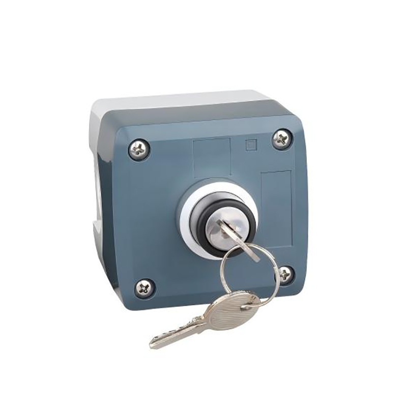 GOB-1A42-GW 22mm Waterproof Key-Operated Switch